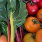 Whole Food Medicine event image