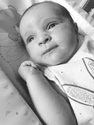 Brothers and sisters meet latest new arrivals in lockdown