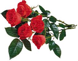 Commandez en ligne la livraison de ce magnifique bouquet de fleurs surprise dans un camaïeu de rouge et de rose pour apporter de l'amour et de la tendresse dans le coeur de votre proche. Bouquet Red Roses Fleurs Flowers Victoriabea Rose Ramo Flower Fleur Rouge Rosas Rojas Picmix