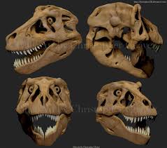 T Rex Sue Fmnh Pr 2081 Color By Christopher252 On Deviantart Dinosaur Fossils Spinosaurus Prehistoric Creatures