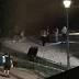 Gator pulls child into water near Disney resort in Orlando, officials say