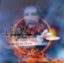 The Bardic Depths – Promises Of Hope (2022, CD) - Discogs