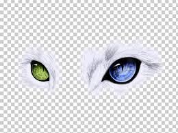 Ojos Azules Odd Eyed Cat Blue Cats Eye Png Clipart Animal Background Green Blue Blue Background 1000 x 780 jpeg 116 кб. ojos azules odd eyed cat blue cats eye