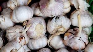 Oleh kerana mempunyai pelbagai khasiat yang baik, bawang putih banyak digunakan dalam masakan masyarakat cina. Konsumsi Bawang Putih Bakar Rasakan Khasiatnya Tribun Manado