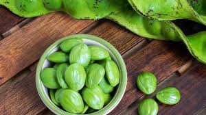 Berikut fakta di balik khasiat akar tanaman bajakah: Rugi Tak Makan Ini 7 Khasiat Petai Yang Bukan Biasa Biasa