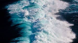 We did not find results for: Sea Quotes On Tumblr
