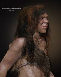 The few fossils we have suggest that the denisovans had big teeth, a large stocky jaw and possibly a flattened and broad neurocranium (braincase). Will We Ever Be Able To Tell What Denisovans Looked Like Quora