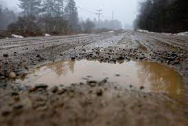 Published by leader s.p.a., under its registered trademark 'black bean'. Just Walking Over The Mud Mom From The Pk S Pew