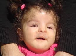 Profile for Justicia para Sonia