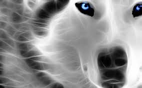 You enjoy the natural and hd environment equally? 60 Neon Animals Desktop Wallpaper 13533 Download Free
