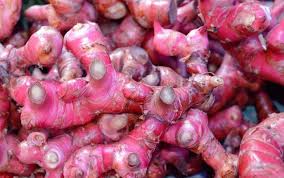 Rajin Minum Jahe Merah Temukan Manfaat Alami Bagi Kesehatan Di 2020 Jahe Herbal Wedang Jahe