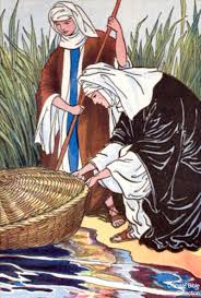 Image result for images of moses in the Nile