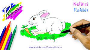 Sketsa gambar hewan mudah yang selanjutnya adalah domba. Sketsa Hewan Dan Tumbuhan Berwarna Tidak Hanya Didarat Saja Nah Untuk Sketsa Gambar Hewan Berkaki Empat Kalian Juga Dapa Di 2021 Sketsa Hewan Menggambar Sketsa Sketsa