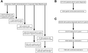 Worldwide it is one of the most common cancers. Risk Factors And Incidence Of Gastric Cancer After Detection Of Helicobacter Pylori Infection A Large Cohort Study Gastroenterology