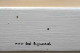 All federal, state, and local regulations be followed; Bird Mites Bed Bugs Limited London