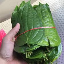 Tetapi bayi juga sebenarnya berisiko untuk menghidapi batuk. Petua Hilangkan Batuk Bayi Dengan Daun Sireh Hafiz Rahim