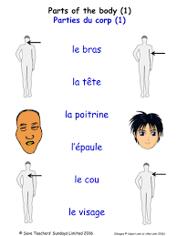 Look at the following gender clues in both singular and plural forms. Parts Of The Body In French Activities 6 Pages Covering 33 French Parts Of The Body Teaching Resources