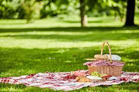 Otherside picnic / 裏世界ピクニック / 里世界郊游. Picnic Etiquette For Outdoor Fun