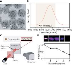 New music, all the time. Bioinspired Tough Gel Sheath For Robust And Versatile Surface Functionalization Science Advances