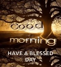 We did not find results for: Have A Blessed Day Gifs Tenor