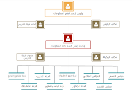 Organizational Structure Information Systems College Of