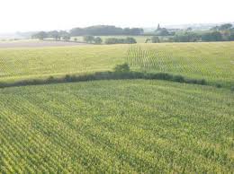 The whole miss 15/17 maine and loire committee wishes you a good eve, enjoy your loved ones and we'll meet again soon. Agri 49 Actualites