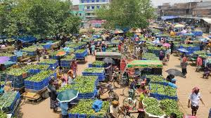 আমচাষি