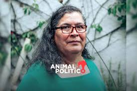 Exigir y luchar”: recuerdan legado de la activista Patricia Velarde a 11  años del derrame en el Río Sonora