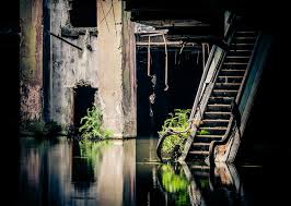 4 stars for you guysss the minus 1 star for being too creepy haha sorry. Haunting Holidays The Haunted Horrors Of Maleficent Malaysia