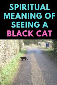 Spiritual Meaning Of Black Cat Crossing Your Path Black Cat Superstition Black Cat Meaning Black Cat