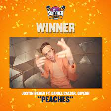Winner qualified for arena of valor premier league 2020 Vh1 India Summer League Winner Facebook