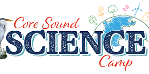 Summer Science Camp