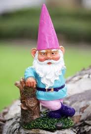 Pin On Gnomes Gone Wild