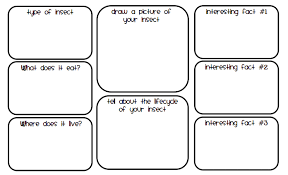 Animal Fact Graphic Organizer Pdf Google Drive Animal Facts Facts Graphic
