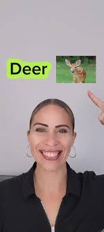 Deer: Understanding Singular and Plural Forms in English