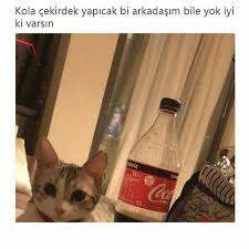 Mizah Mizahturkiye Mizahsor Komikvideolar Komik Komiksozlerkomikresimler Mizah Komik Komik Seyler