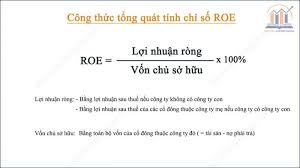Chỉ số ROE và ROAE và các vấn đề liên quan - TVCK