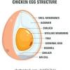 Big green egg large egg 179 parts available for this model. Https Encrypted Tbn0 Gstatic Com Images Q Tbn And9gcqxgxm364lxwn8upuk4nsyefpywtrhjjslrifke6vilrici31zv Usqp Cau