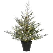 Maybe you would like to learn more about one of these? Christmas Tree In A Pot With Led Lighting 29 53 Inch