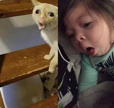 This Is How Little Kids Cough Kids Cough Funny Kid Memes Best Funny Photos
