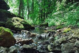 Source is a 3d video game engine developed by valve corporation. Source Of The R Marne