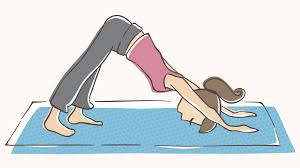 D D D February 2010 Archive The Daily Downward Dog