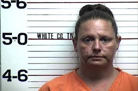 Kyle Goff addresses concerns over Animal Shelter staffing