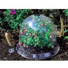Shelter tender plants from cold, wind and pests. Plant Dome Cover Plant Dome Cover Suppliers And Manufacturers At Alibaba Com