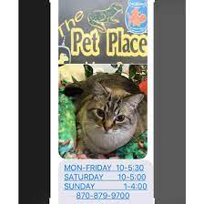 We've got a little construction going on today (1/7) and possibly tomorrow (1/8) as well. The Pet Place Home Facebook