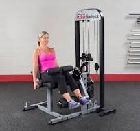 Proselect Selectorized Leg Ext. e máquina de flexão de ...