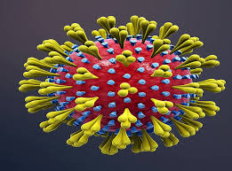 60 à¤¸à¤¾à¤² à¤ªà¤¹à¤²à¥‡ à¤–à¥‹à¤œà¤¾ à¤—à¤¯à¤¾ à¤¥à¤¾ Coronavirus à¤•à¤¾ à¤ªà¤¹à¤²à¤¾ ...