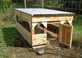 I initially designed mine to about that angle and my choops found it too intimidating; 37 Free Diy Duck House Coop Plans Ideas That You Can Easily Build