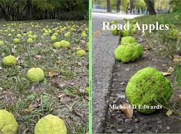 Road Apples by Michael D Edwards : $18.02 : TheBookPatch.com