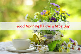 A collection of the top 59 good morning wallpapers and backgrounds available for download for free. Premium Good Morning Flower Image Free Download Ontaheen